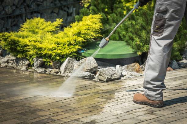 Best Roof Washing  in Pines Lake, NJ